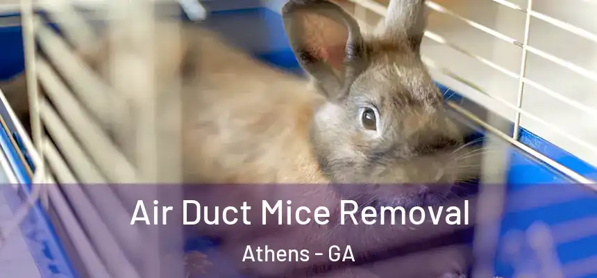  Air Duct Mice Removal Athens - GA