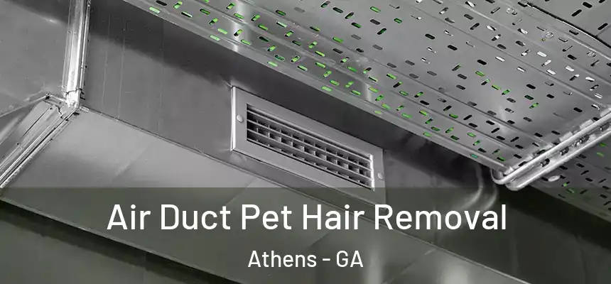  Air Duct Pet Hair Removal Athens - GA