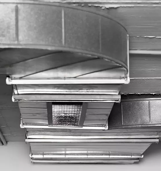 Professional Air Duct Pest Removal in Athens, GA