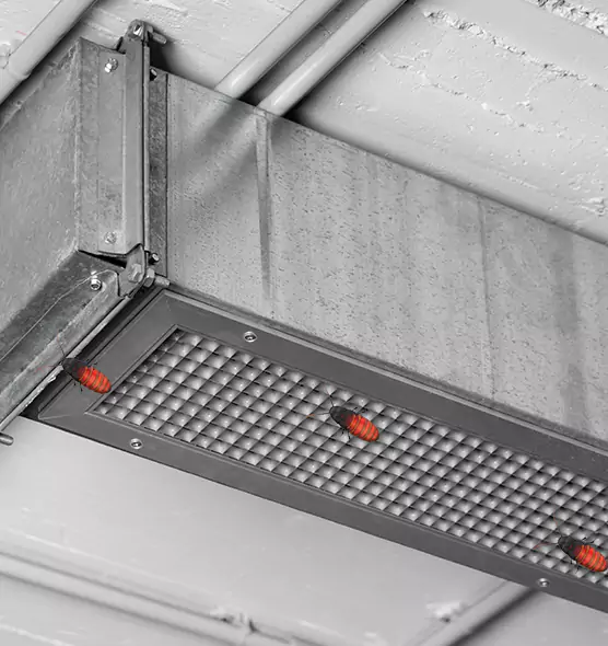 Affordable Insect Removal from Air Ducts in Athens, GA
