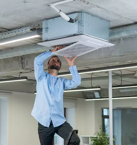 Advanced Rodent Droppings In Vents in Athens, GA