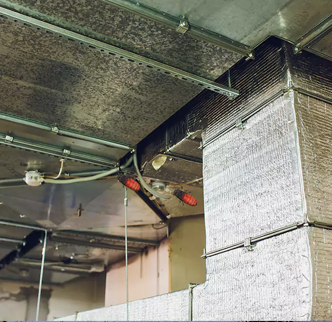 Why Homeowners & Businesses Trust Us in Athens, GA?