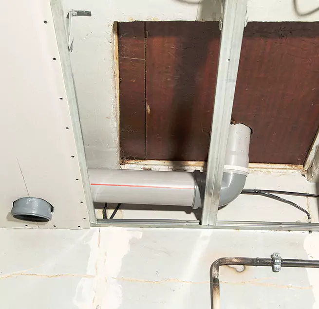 Why Homeowners & Businesses Trust Us in Athens, GA?