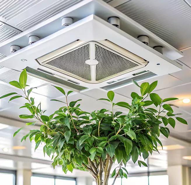 Why Homeowners & Businesses Trust Us in Athens, GA?