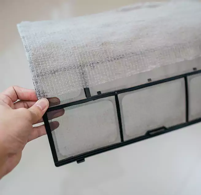 Why Homeowners & Businesses Trust Us in Athens, GA?