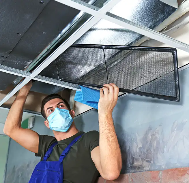 Why Homeowners & Businesses Trust Us in Athens, GA?