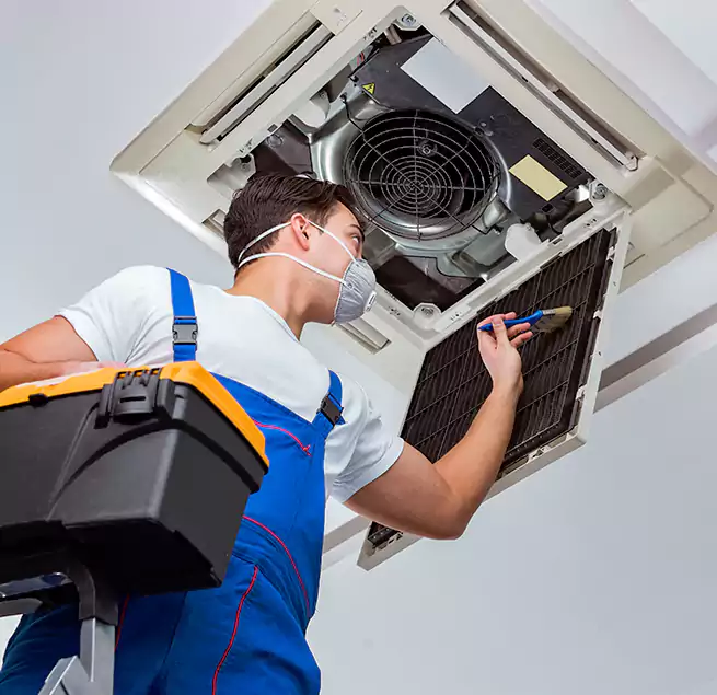 Why Homeowners & Businesses Trust Us in Athens, GA?